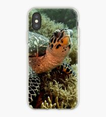 Turtle iPhone Case