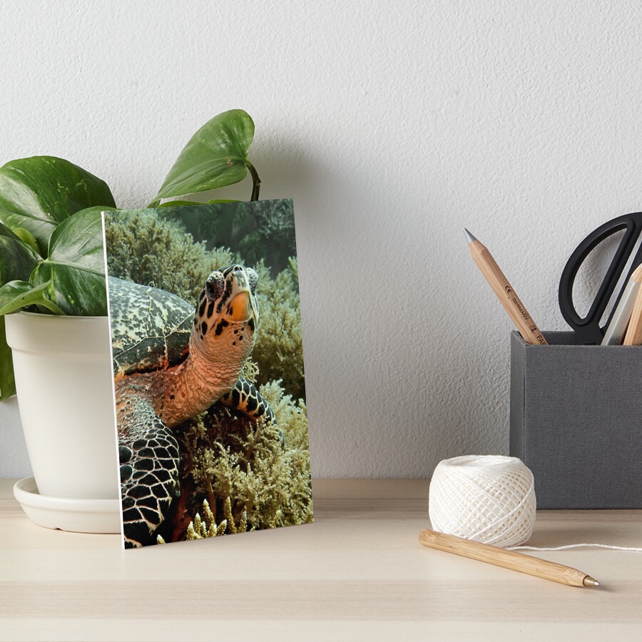 Item preview, Art Board Print designed and sold by marcelbotman.