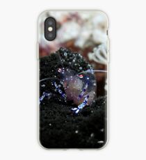 Shrimp on a black anemone iPhone Case