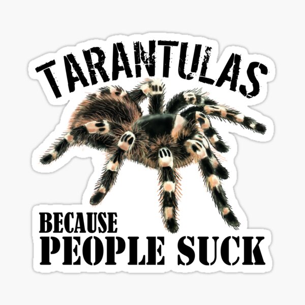 Item preview, Tarantula Saying Tarantulas Because People Suck designed and sold by Tarantula-Pet.