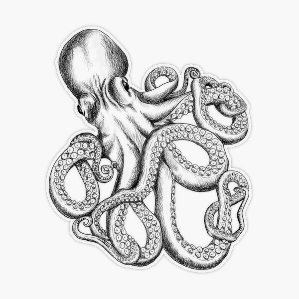 EMC Graphics Octopus Tentacle Two-Tone Drawing Sticker Decal India