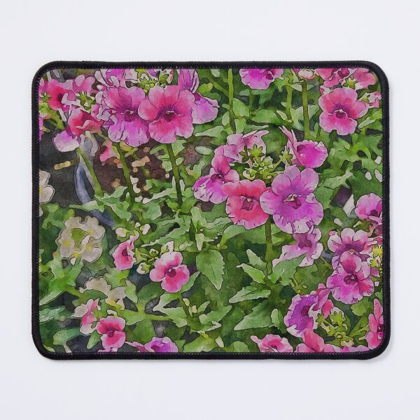 Item preview, Pink Nemesia designed and sold by NZFloral.