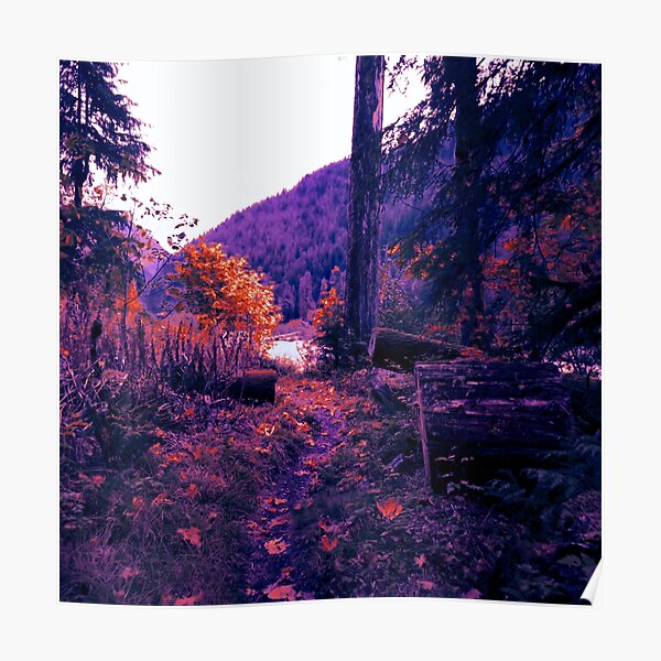 Amazing Forest and Mountains View Poster