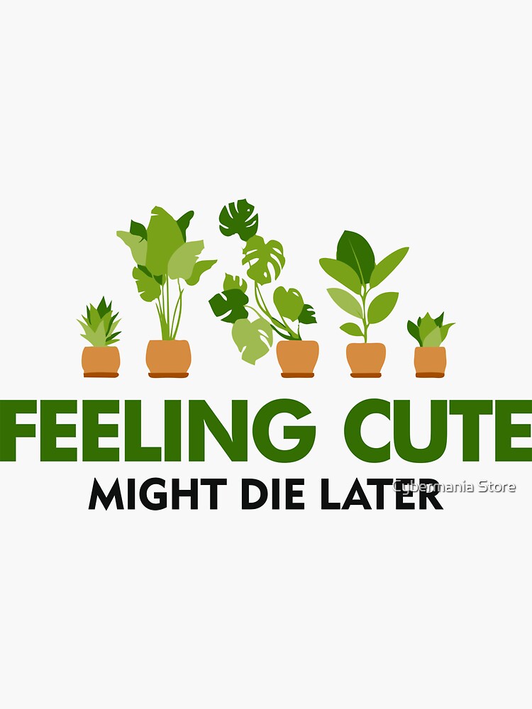 FEELING CUTE MIGHT DIE LATER by bhagwantmba