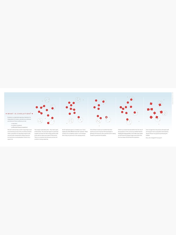 What Is Evolution? by dencemond