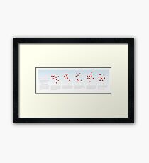 What Is Evolution? Framed Print