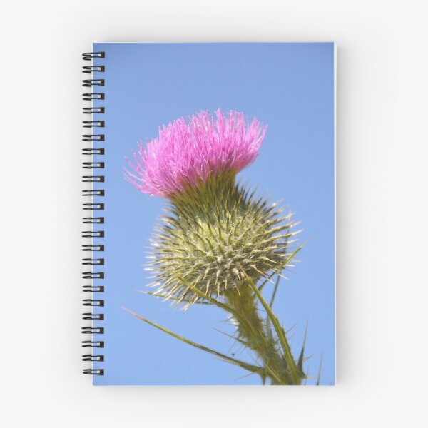Item preview, Thistle! designed and sold by TheaShutterbug.