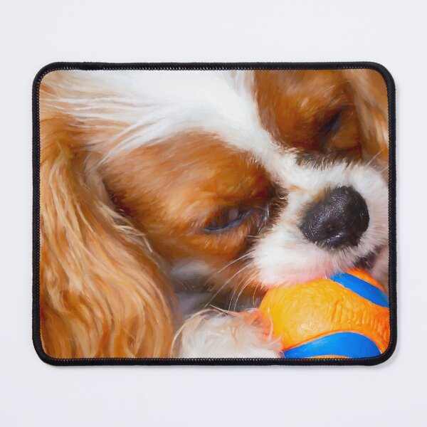 Item preview, Cute Cavalier With Ball designed and sold by Tanya C  Smith.