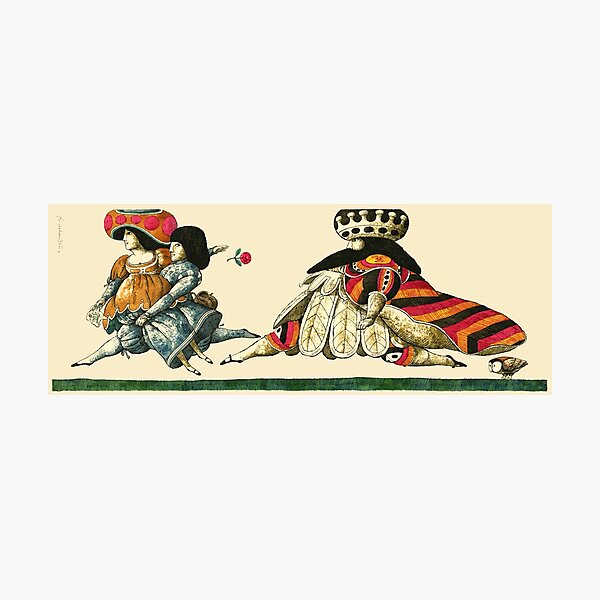 School For Sillies Photographic Print