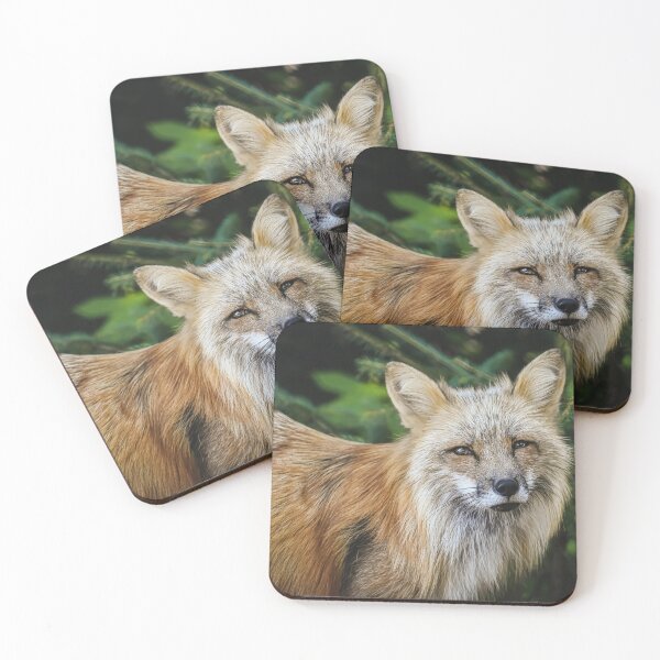 Item preview, Close-up shot of a fox designed and sold by Raureif.