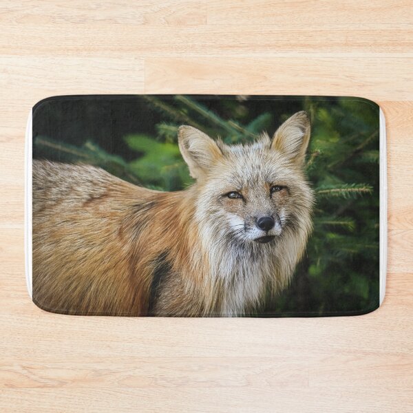 Item preview, Close-up shot of a fox designed and sold by Raureif.