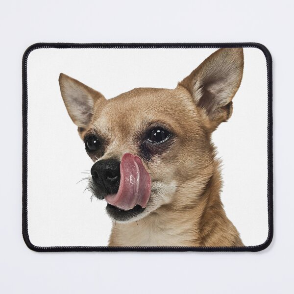Item preview, Chihuahua hungry designed and sold by Graphics-Photos.