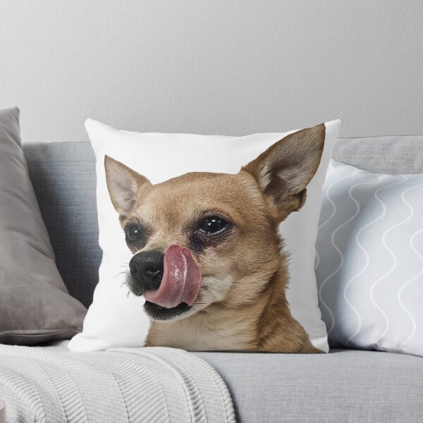 Artikelvorschau, Chihuahua hungrig entworfen und verkauft von Graphics-Photos.