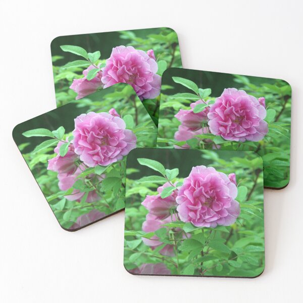 Item preview, Vintage Pink Rose Flower designed and sold by tomorrowsart.
