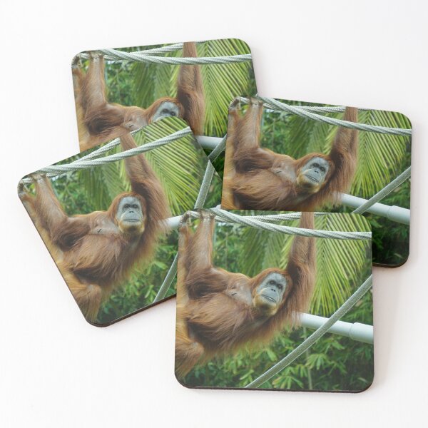 Item preview, Orangutan Hanging on Tree designed and sold by Raureif.