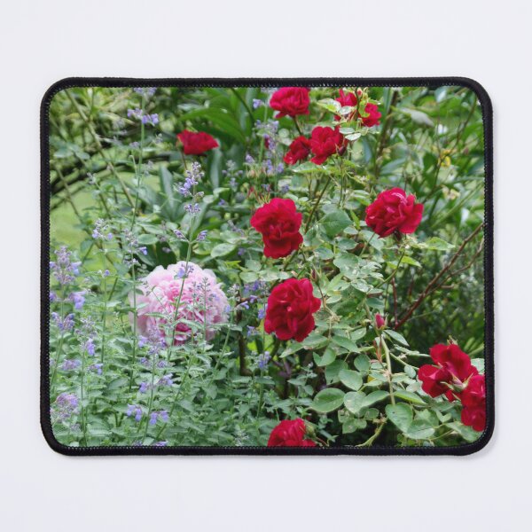 Item preview, Red and Pink Garden Roses designed and sold by tomorrowsart.