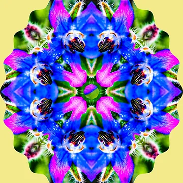 Artwork thumbnail, Delicious borage vegetable pattern. by Patternflower
