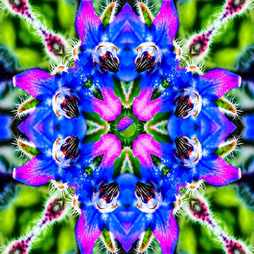 Artwork thumbnail, Delicious borage vegetable pattern. by Patternflower