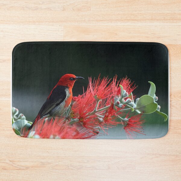 Item preview, Crimson Sunbird designed and sold by Raureif.