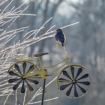 Artwork thumbnail, Looking for a Winter Ride by InGFocus