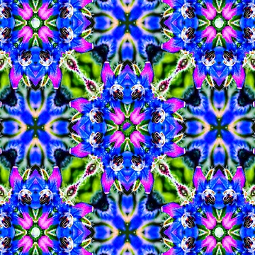Artwork thumbnail, Delicious borage vegetable pattern. by Patternflower