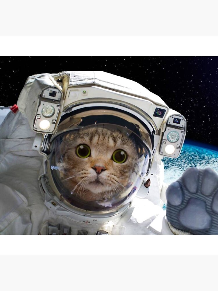 Cat Pfp in space Sticker for Sale by SYZYGYARTSTYLE