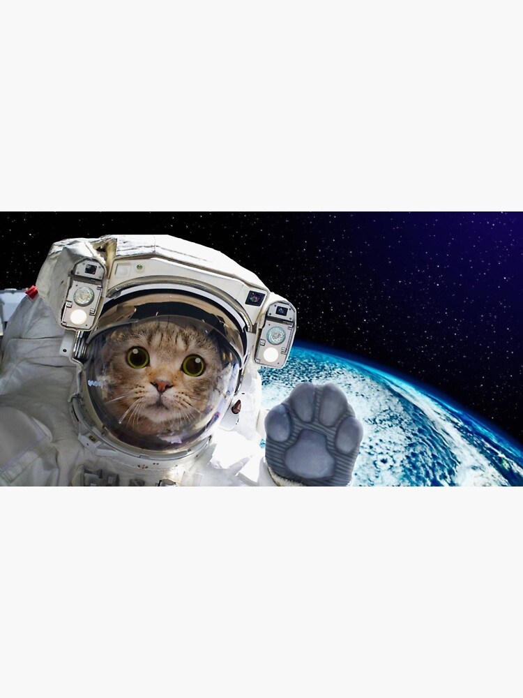 Cat Pfp in space Sticker for Sale by SYZYGYARTSTYLE