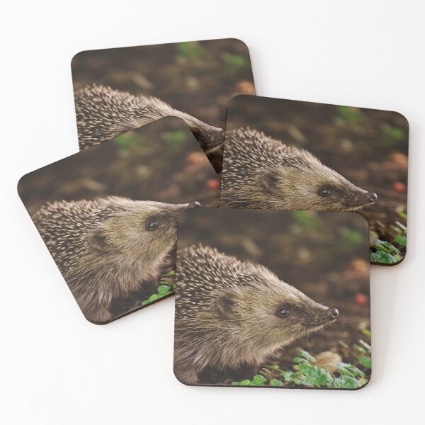 Item preview, Hedgehog in the forest designed and sold by Raureif.