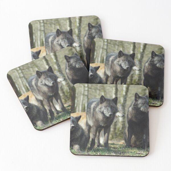 Item preview, Pack of Black Wolfs in the Forest designed and sold by Raureif.