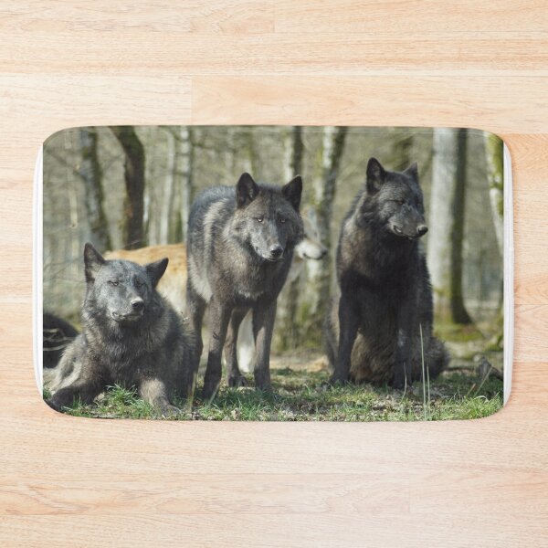 Item preview, Pack of Black Wolfs in the Forest designed and sold by Raureif.