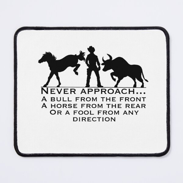 Item preview, Never Approach a Fool designed and sold by ceysomethingg.