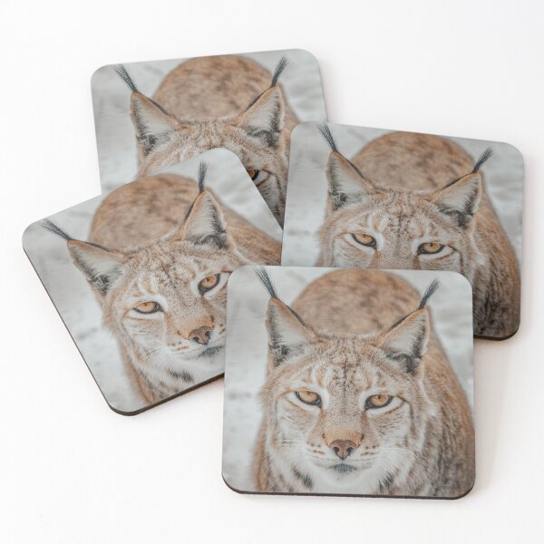 Item preview, Lynx in Winter designed and sold by Raureif.