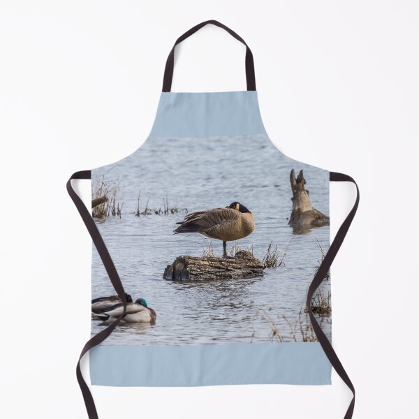 Item preview, Canada Goose Sleeping On One Leg designed and sold by mljdwhite.