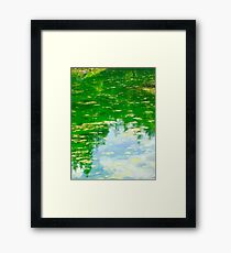 Lake with Algae Framed Print
