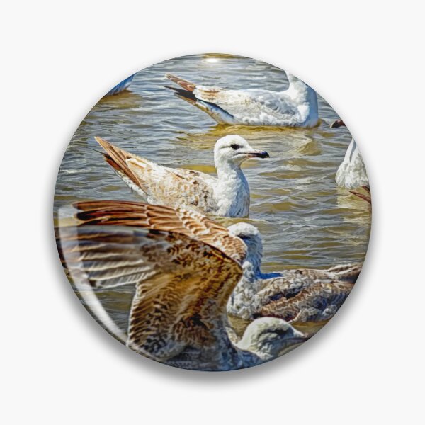 Item preview, Seagulls at Southwold designed and sold by Photography & Emotive Ai.