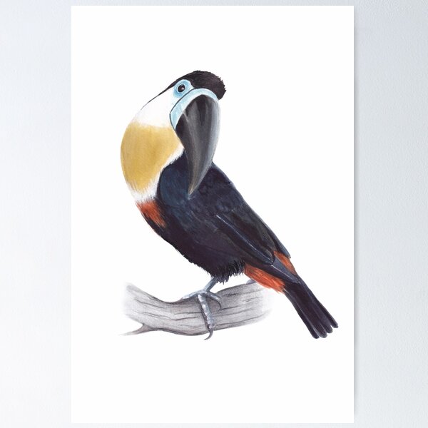 Item preview, Toucan Ariel designed and sold by ViktoriaZhulego.