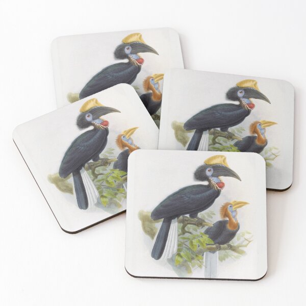 Item preview, Yellow-casqued Hornbill (Ceratogymna elata) by J.G. Keuleman designed and sold by TheCurators.