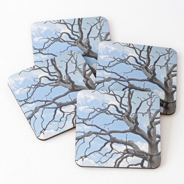 Item preview, Dead Tree Branches designed and sold by pinkal.