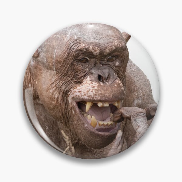 Item preview, Hairless Chimpanzee designed and sold by rawshutterbug.