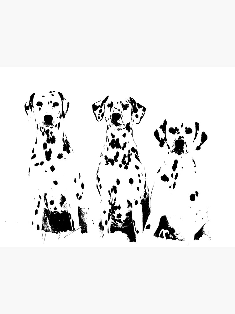 dalmatian-dogs-wall-decal-dalmatiner-dog-for-cricut-vector-graphics