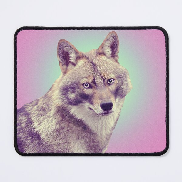 Item preview, Urban Golden Jackal designed and sold by itay dror.