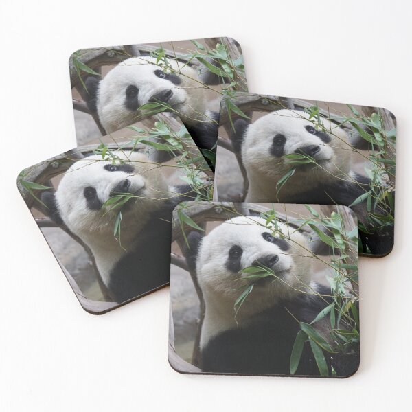 Item preview, ’Panda hiding behind bamboo leaves’ designed and sold by Raureif.