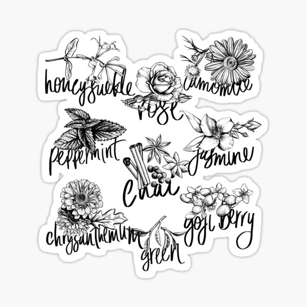 Types of tea 2 Sticker