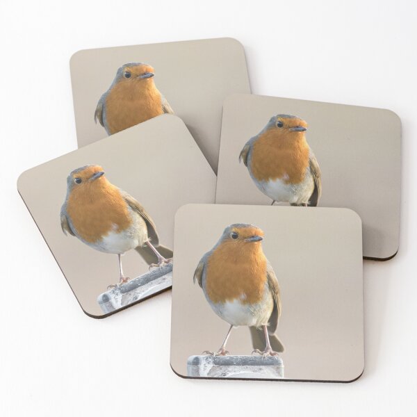 Item preview, Robin designed and sold by LaurenTucker.