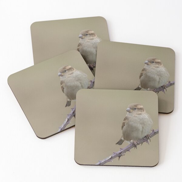 Item preview, House Sparrow designed and sold by LaurenTucker.