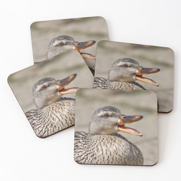 Item preview, Quack!  designed and sold by GreyFeatherPhot.