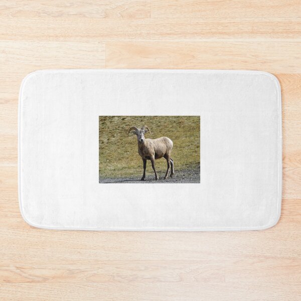 Item preview, Young Ram  designed and sold by paolo1955.