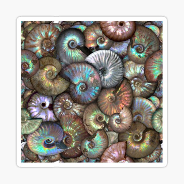 66 Million Years in the making Sticker