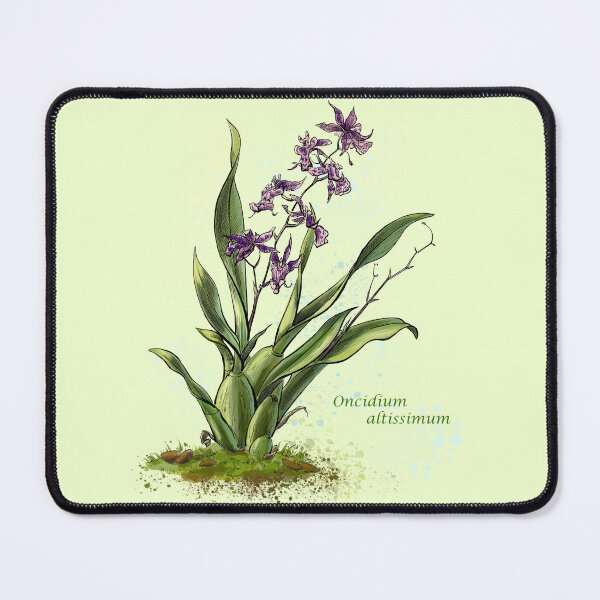 Item preview, Wall painting, Mothers Day card, Easter botanical drawing, flower drawing, orchid drawing spring designed and sold by bluefox15.