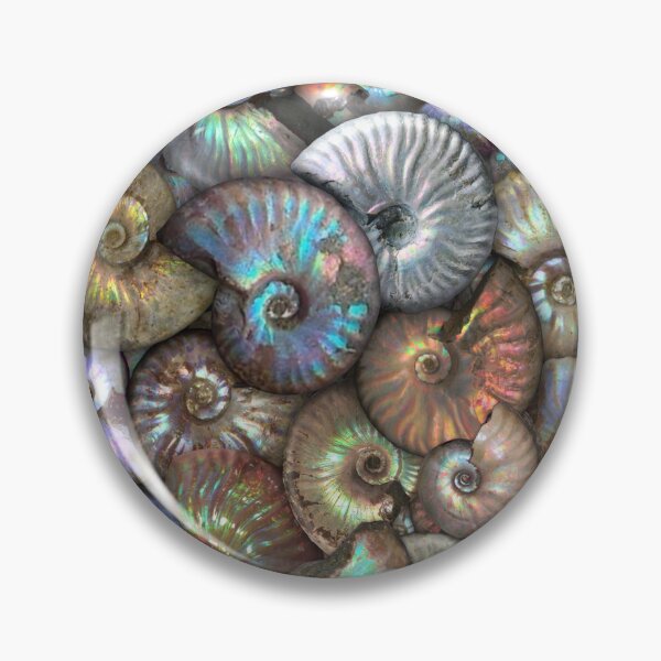 Item preview, 66 Million Years in the making designed and sold by dinaaaaaah.